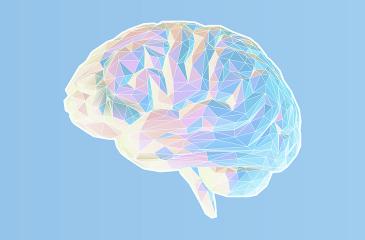 What We've Learned About The Child Brain