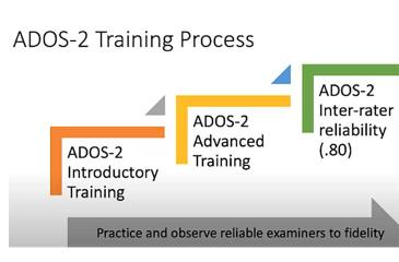 ADOS-2 Traning Process chart